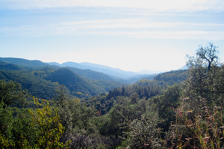 Unspoilt wild nature in the interior of Girona
